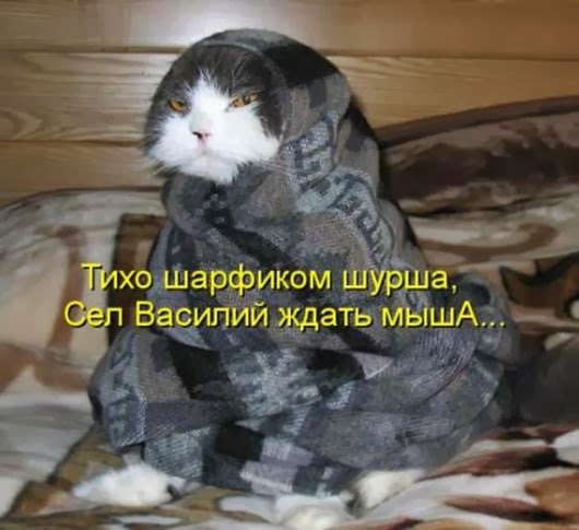 3114a07b6b8f4e4c1972a4c5c06_prev