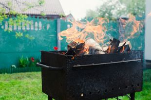 Вишня, береза и опилки. На каких дровах лучше жарить шашлык