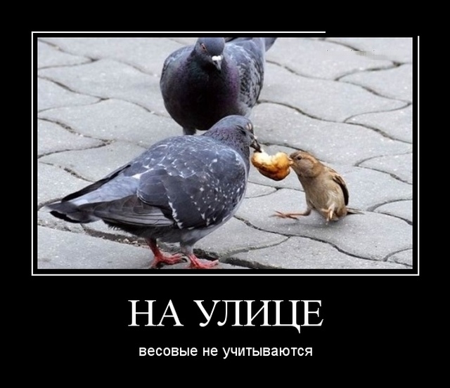 Демотиваторы Демотиваторы