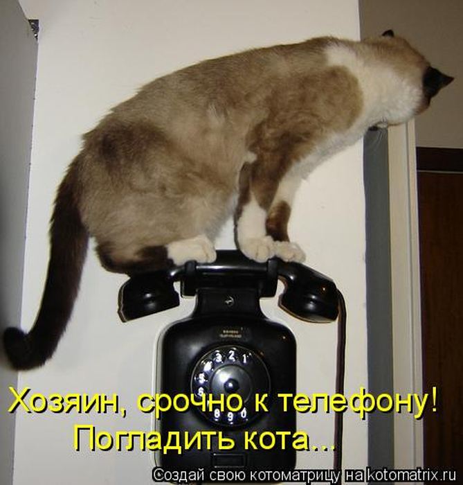 Мысли вслух :)