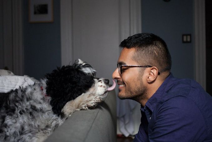 животные, отношения, люди, приют