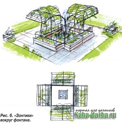 озеленение сада-зонт
