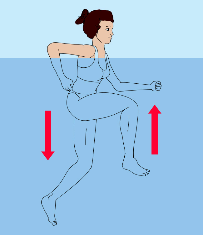 ������������ ����������