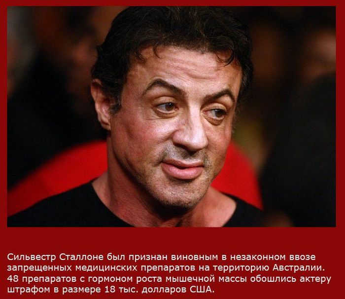 Факты о Сильвестре Сталлоне Факты о Сильвестре Сталлоне