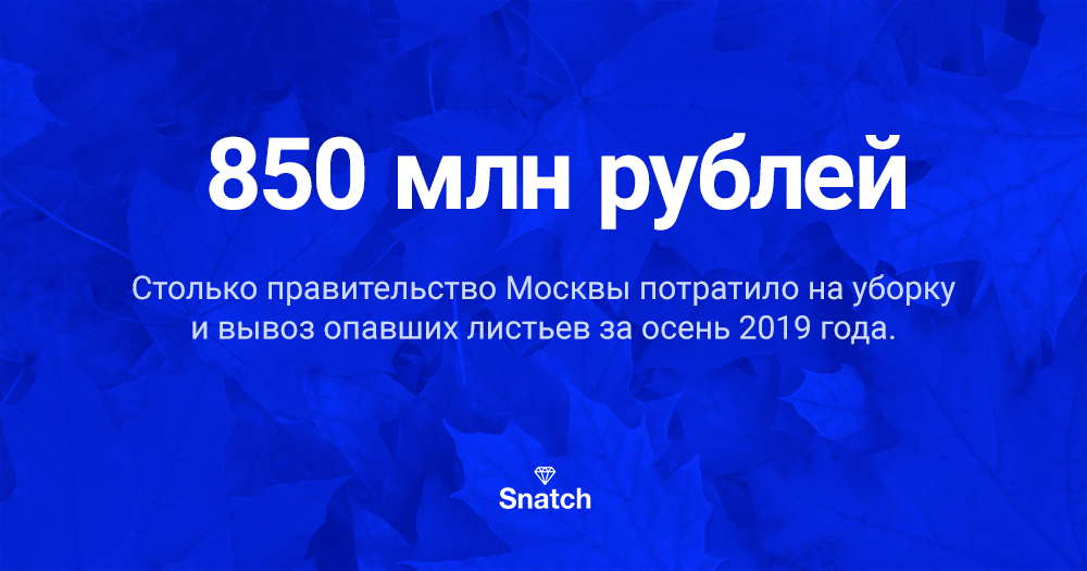 Сколько Москва потратила на уборку листьев, которые нельзя убирать