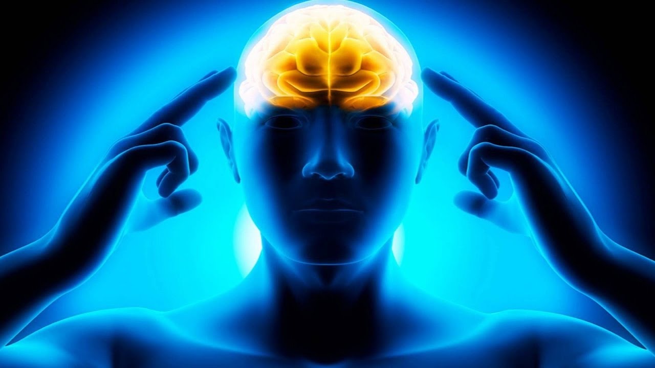 Мозг. Инструкция по применению 88 Мозг. Инструкция по применению 11