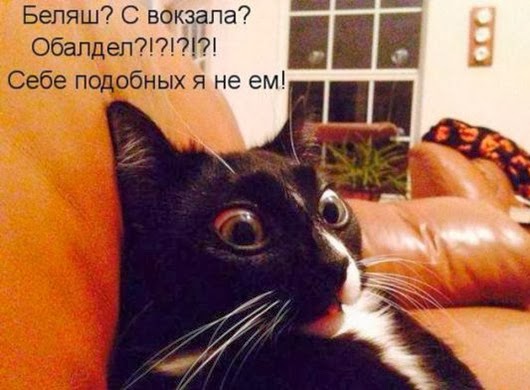 bb2e5ec53859aaa0dbb8fc55b77_prev