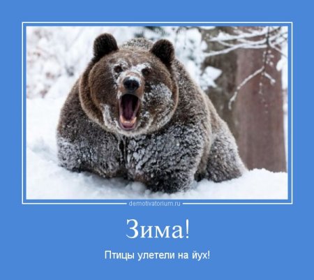Прикольные мотиваторы - Зима наступила!