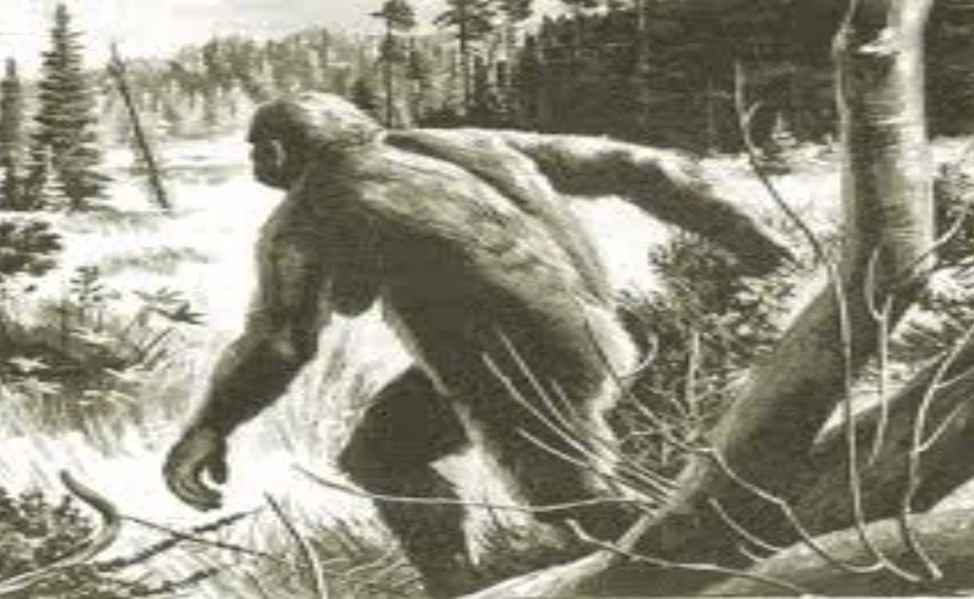 Кто эти звери! Но обрывки монографии в прессу все-таки просочились. На дворе стоял уже относительно свободный 1974 год. Опубликованные отрывки <a href=