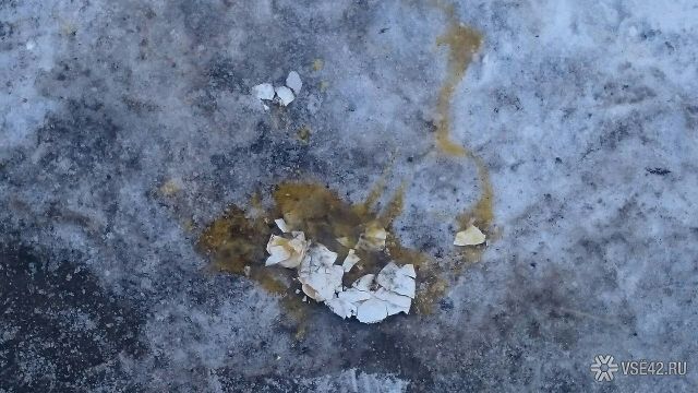 Навального закидали яйцами во время визита в Кемерово Навального закидали яйцами во время визита в Кемерово