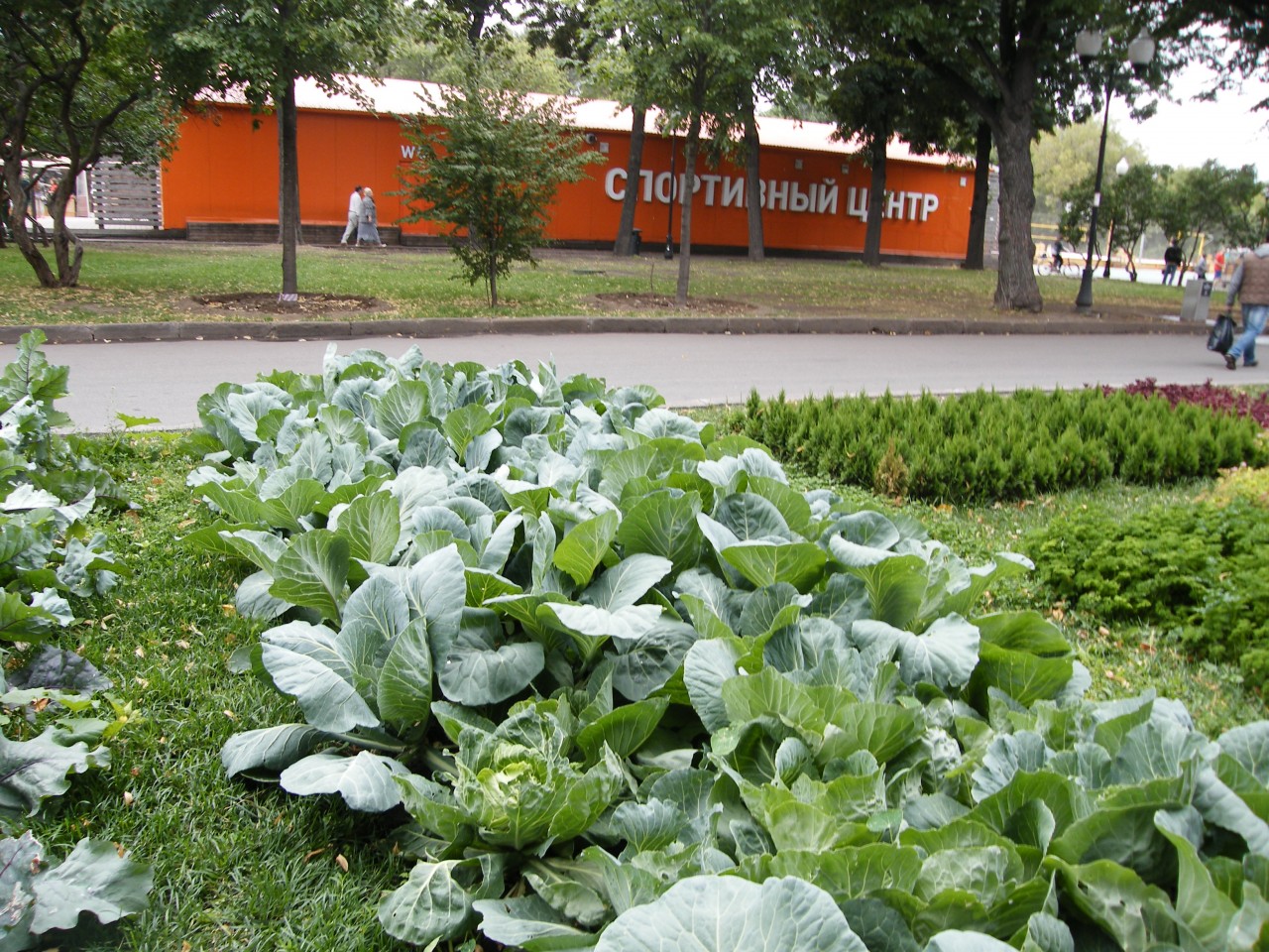 Парк имени Горького.Продолжение. Парк имени Горького.Часть 2