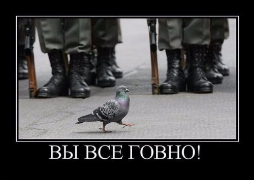 Демотиваторы отличной подборочкой для зарядки позитивом на весь день! Демотиваторы отличной подборочкой для зарядки позитивом на весь день!