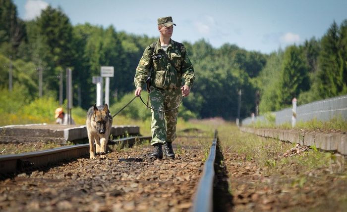 Украинские силовики спустили собак на представителей ОБСЕ