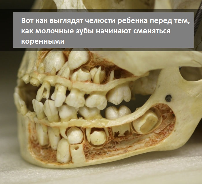 Поразительные факты, после которых ваша жизнь не будет прежней Поразительные факты, после которых ваша жизнь не будет прежней