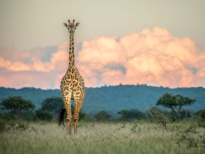 National Geographic: лучшие фотографии июля