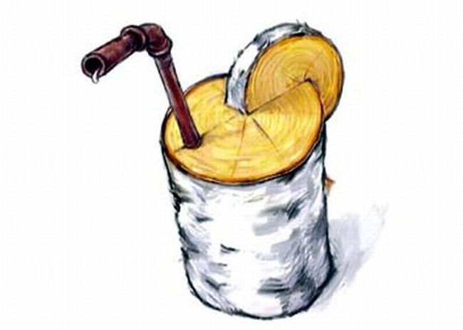25  ,        , , 