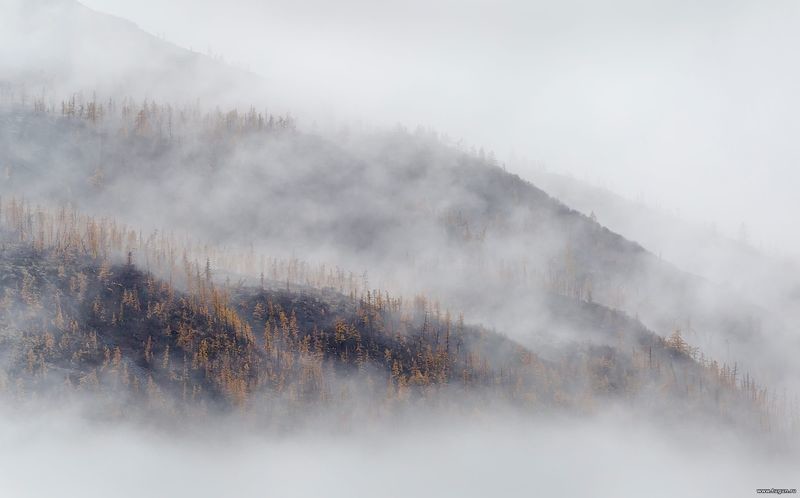 Плато Путарана, осень 2017 Красноярский край, Плато Путарана, природа