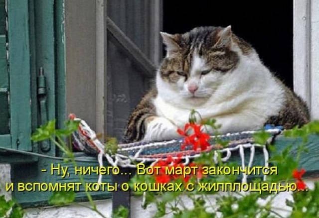 ЗАПАХЛО ВЕСНОЙ... ЗАПАХЛО ВЕСНОЙ...
