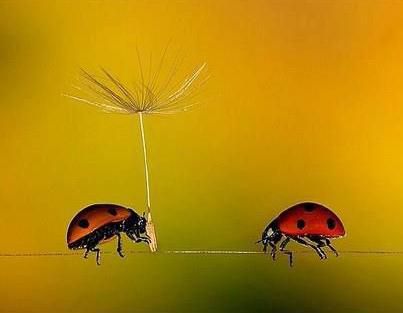 8 марта, поздравление