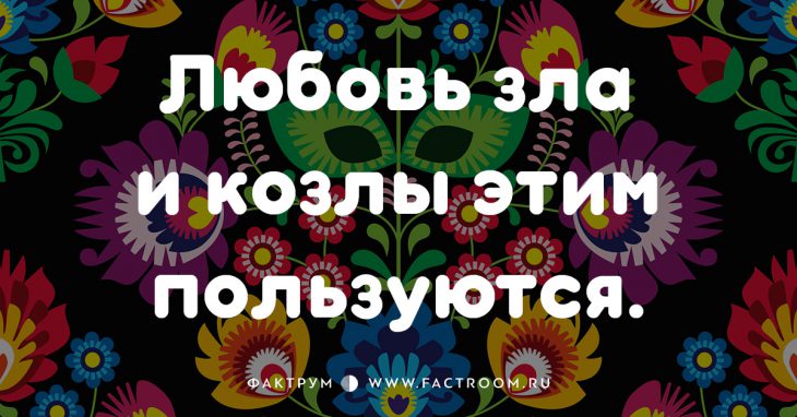 20 смешных современных поговорок, которых вы ещё не слышали 20 смешных современных поговорок, которых вы ещё не слышали