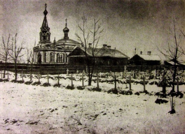 Кровавое воскресенье. Русскую революцию 1905 г. устроил... Николай II? история, николай ii, россия