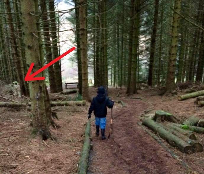 Шотландец сфотографировал в лесу похожего на астронавта гуманоида Шотландец сфотографировал в лесу похожего на астронавта гуманоида