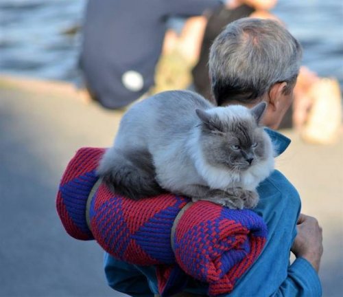 Прикольные картинки пятницы (35 шт) Прикольные картинки пятницы (35 шт)