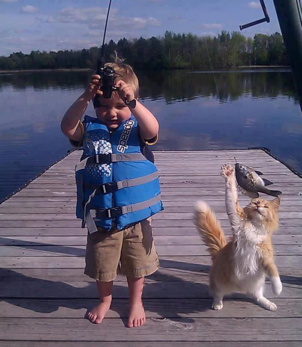 Коты, которых поймали на горячем - 45 отчаянных фотографий Коты, которых поймали на горячем - 45 отчаянных фотографий