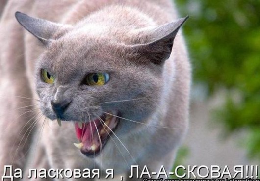 7bb2c607f3c336da7a88f5b5d95_prev