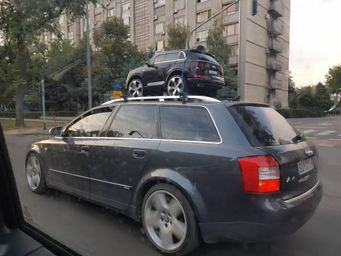 Подборка прикольных фото (100 фото)