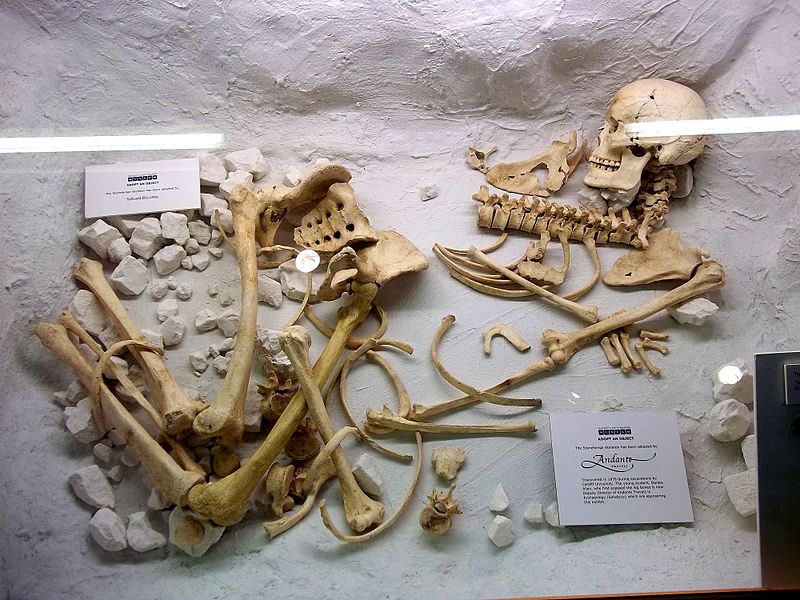 File:Stonehenge Archer - Salisbury and South Wiltshire Museum.jpg
