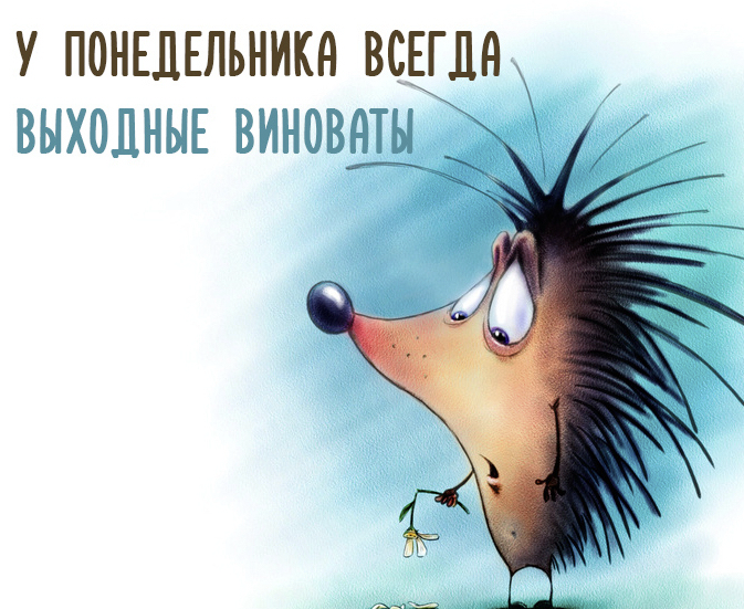 Ничто так не поднимает позитивное настроение как прикольные картинки и анекдоты