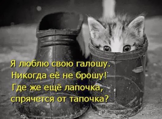 f8ff4484a90f53a50788a7ea256_prev