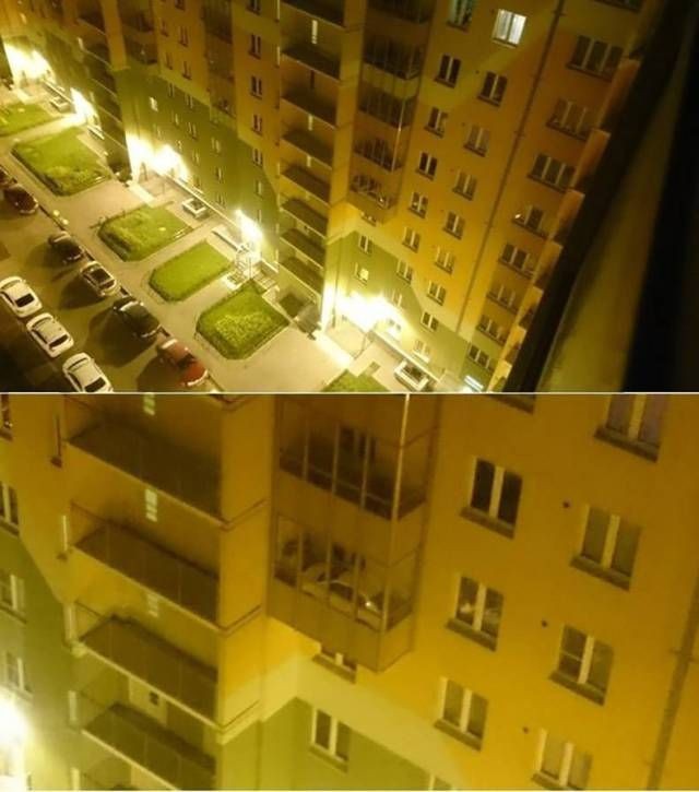 Подборка прикольных фото (100 фото)