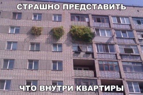 Прикольные фотомемы для хорошего настроения Прикольные фотомемы для хорошего настроения