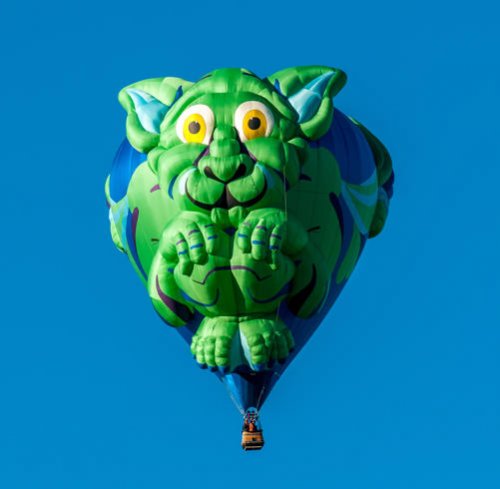 Яркие краски фестиваля воздушных шаров в Альбукерке (20 фото)