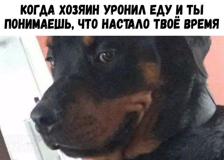 Ну очень остроумные подписи к картинкам Ну очень остроумные подписи к картинкам