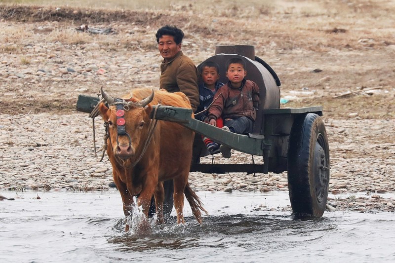 13. Северокорейский фермер едет вдоль границы, 30 марта 2017. (Фото Damir Sagolj | Reuters): Тоталитаризм, гранциа, китай, севераня корея