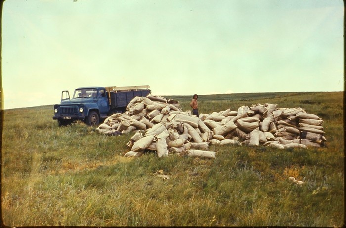 Находка на барахолке. Фотоархив советского геолога Фотография, СССР, Винтажное фото, Слайды, Память, Длиннопост