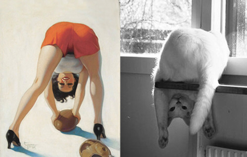 Арт-проект «Cats That Look Like Pin Up Girls» Арт-проект «Cats That Look Like Pin Up Girls»
