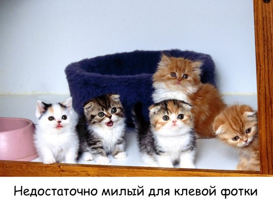 Давайте улыбаться вместе! :) (29 улыбок)