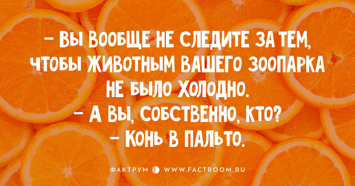 Топ-10 убойных анекдотов, которые рассеят вашу осеннюю тоску