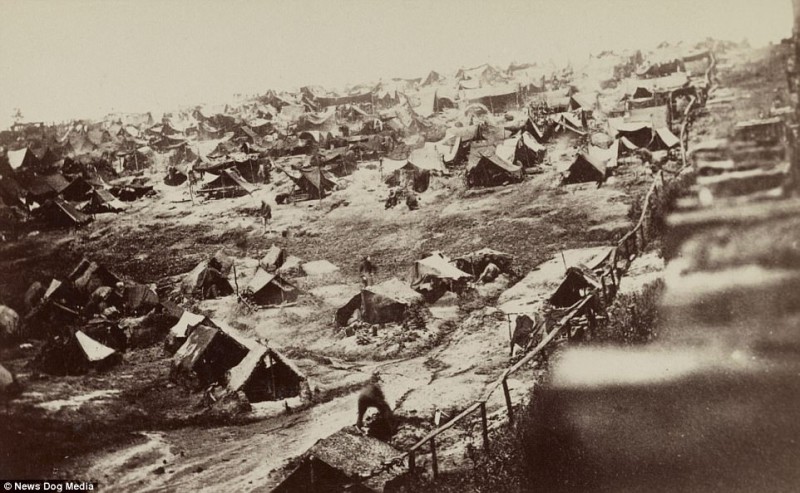 Ужасающие фотографии жертв самой кровопролитной войны в истории США Ужасные фотографии