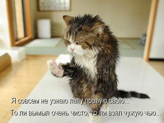 b456faaeba8e535f9cfa1ccdb94_prev