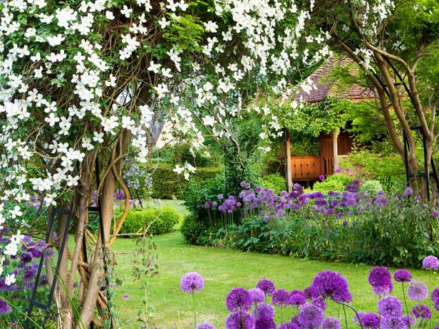 ДАЧА.  ДИЗАЙН