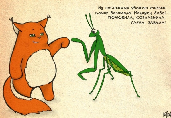 123456