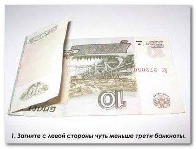 Предлагаем вам поселить в своем бумажнике такого замечательного, приносящего удачу жителя