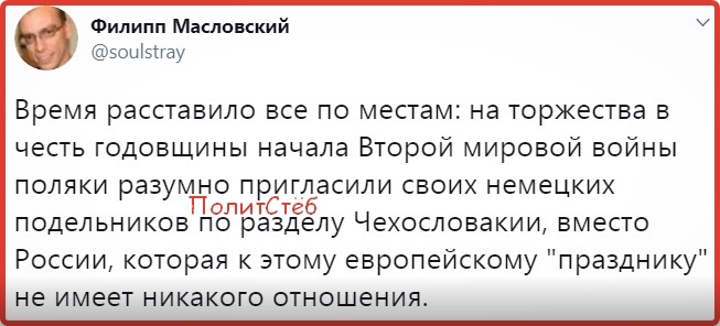 Кёнигсбергские шавки в Калининграде