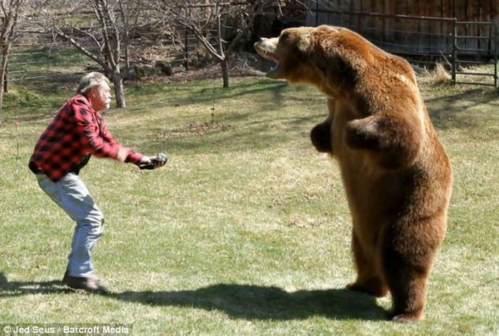 животные, кино