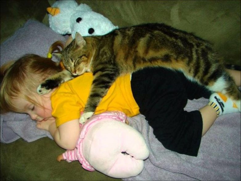 Дети и кошки Дети и кошки